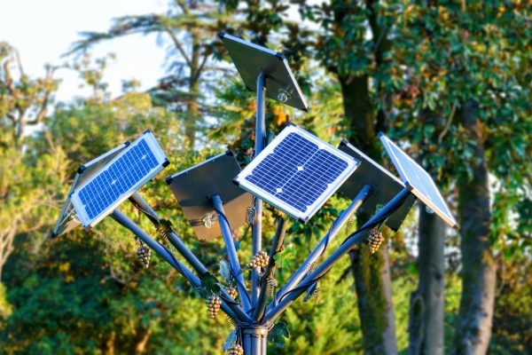 Solar Trees
